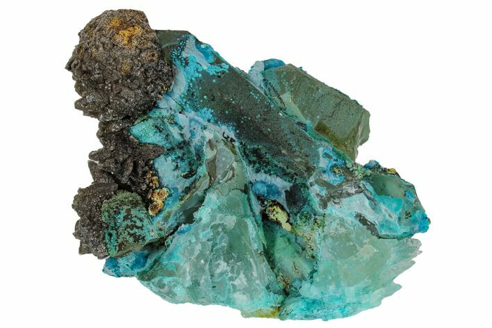 Chrysocolla on Quartz Crystal Cluster - Tentadora Mine, Peru #169258
